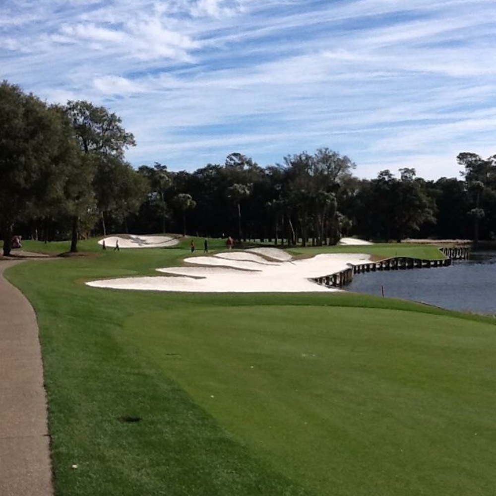 Meet your Posher, Shauna